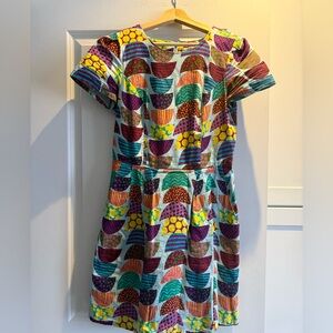 Birds of North America Bold Print Dress